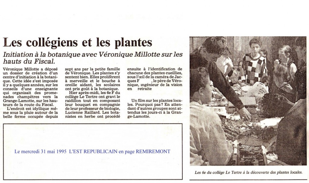 FF Presse 19950531