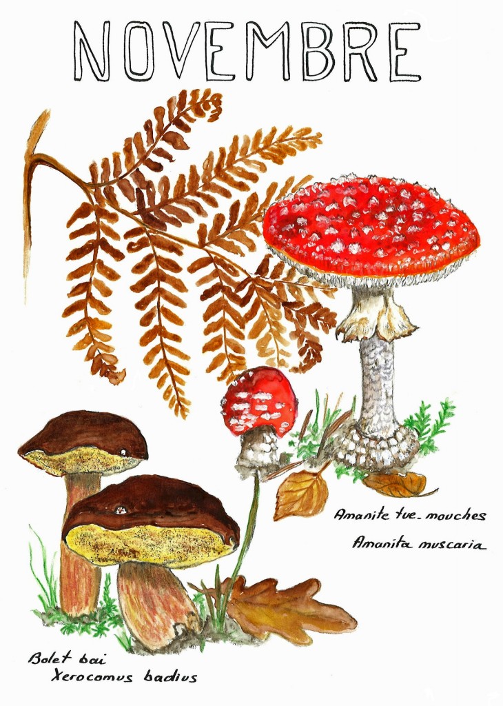 Dessin Du Mois De Fleurs En Feuilles